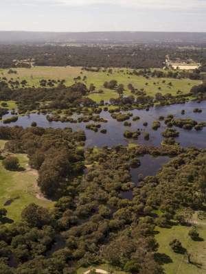 Whiteman Park wetlands Horse Swamp aerial