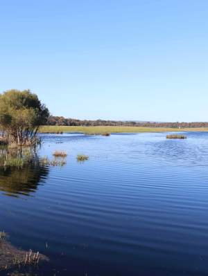 Lake Marshall is a seasonal surface expression of the Gnangara Water Mound