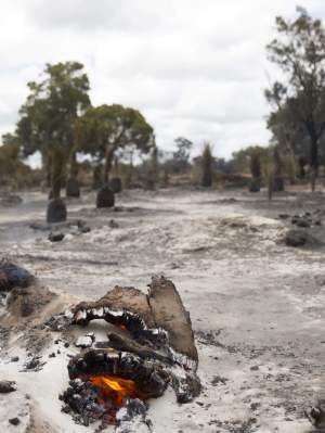 Whiteman Park fire aftermath WEB