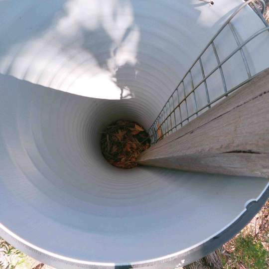 Whiteman Park Cockatoo tube photo courtesy of Simon Cherriman