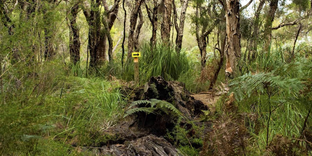 Wununga Trail wetland area Whiteman Park WEB