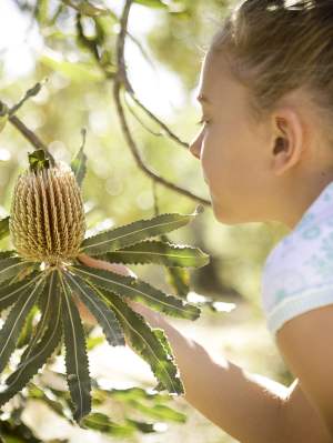 Children's Forest - get up close to nature