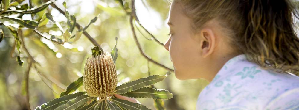 Children's Forest - get up close to nature