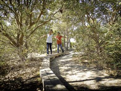 Childrens Forest balance amongst the trees