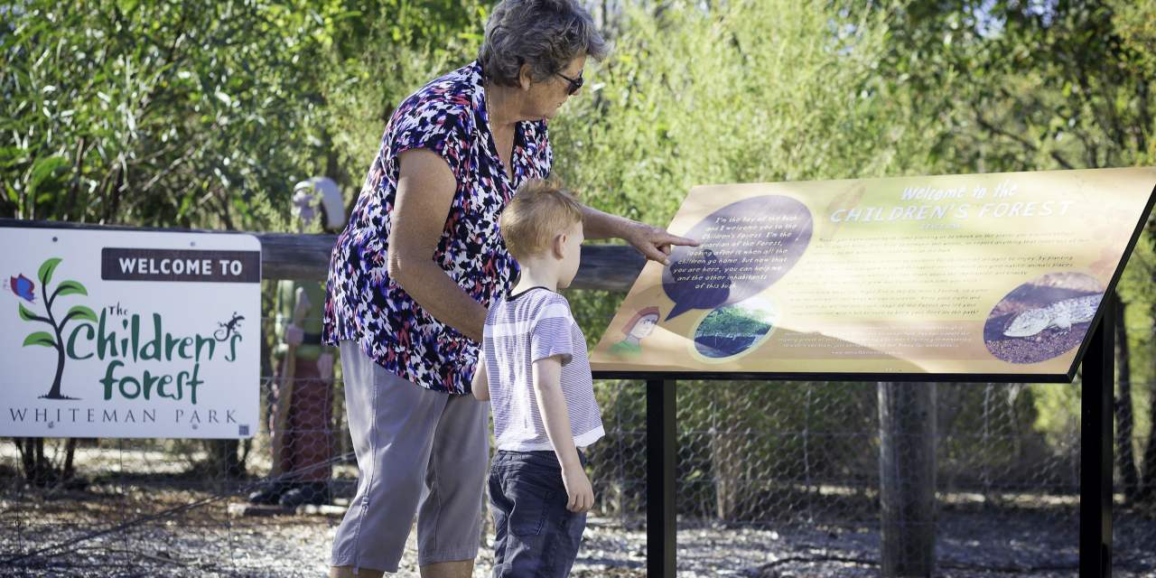 Children's Forest - outside Stage 1