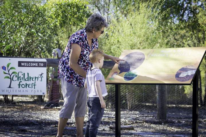 Children's Forest - outside Stage 1