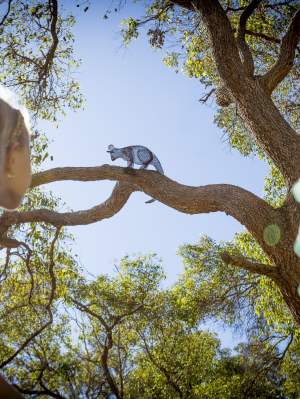 Children's Forest - Stage 7 - girls looking up at possum