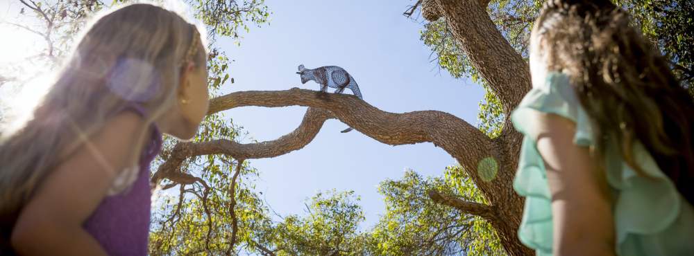 Children's Forest - Stage 7 - girls looking up at possum