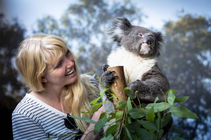 Caversham Wildlife Park - girl with koala