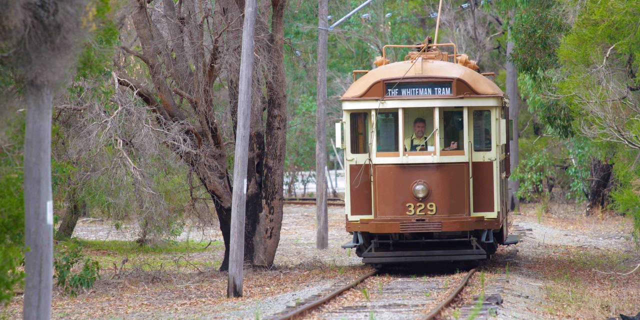 Whiteman Park heritage electric tram through bushland 1 MB