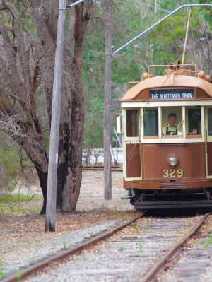 Whiteman Park heritage electric tram through bushland 1 MB