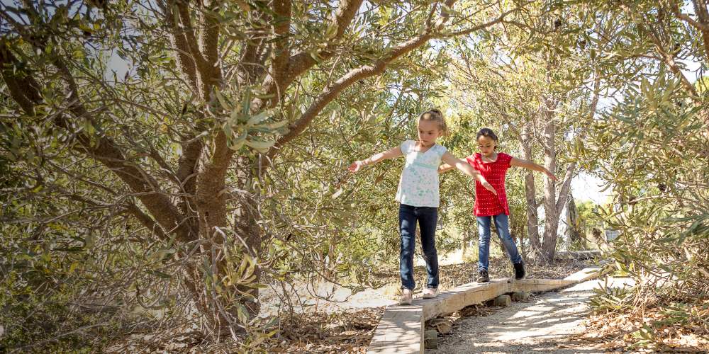 Childrens forest