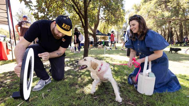 Whiteman Park Doggies Day Out2024 28 WEB