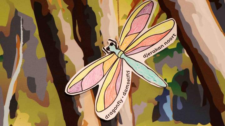 Noongar fauna display