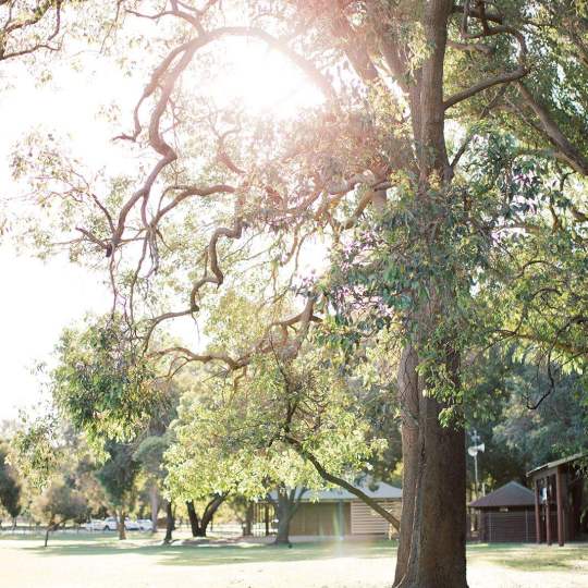 Ameliaclairephoto whiteman park 1 12