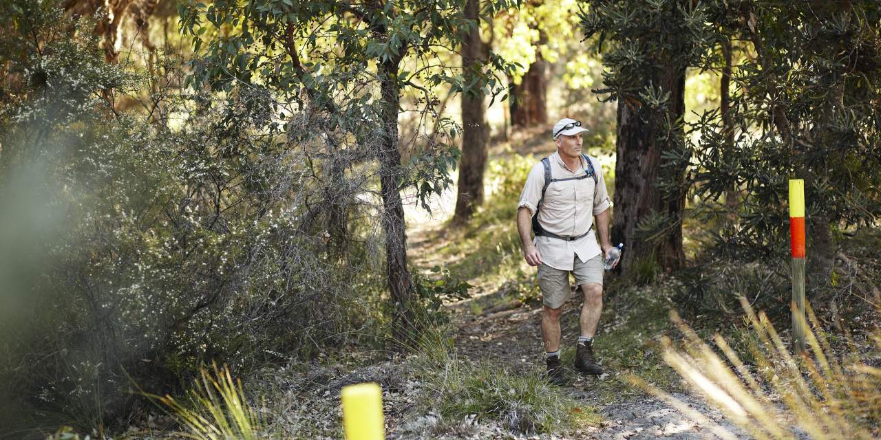 Bush walk trail - walker on Wunanga