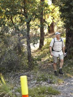 Bush walk trail - walker on Wunanga