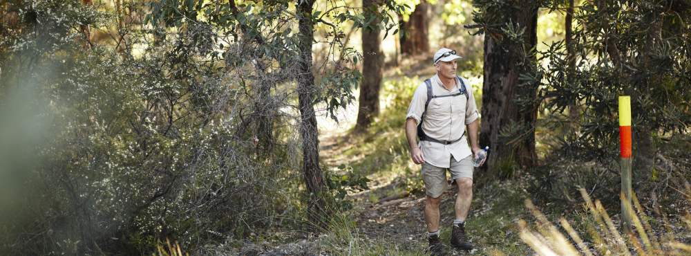 Bush walk trail - walker on Wunanga