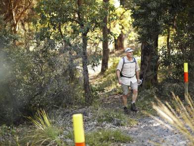 Bush walk trail - walker on Wunanga