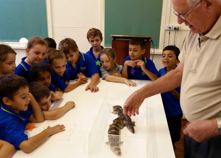 Whiteman Park Volunteers Education programs volunteer bobtail talk WEB