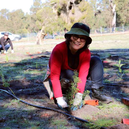 Whiteman Park Volunteers Enviro Planting volunteers