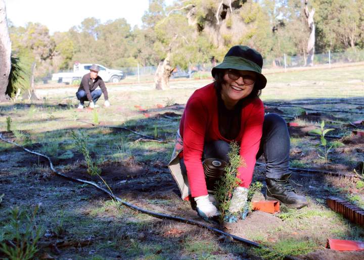 Whiteman Park Volunteers Enviro Planting volunteers