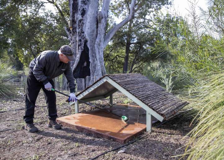 Whiteman Park Volunteers Enviro Woodland Reserve maintenance volunteers