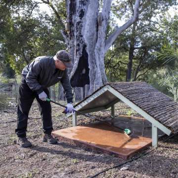 Whiteman Park Volunteers Enviro Woodland Reserve maintenance volunteers