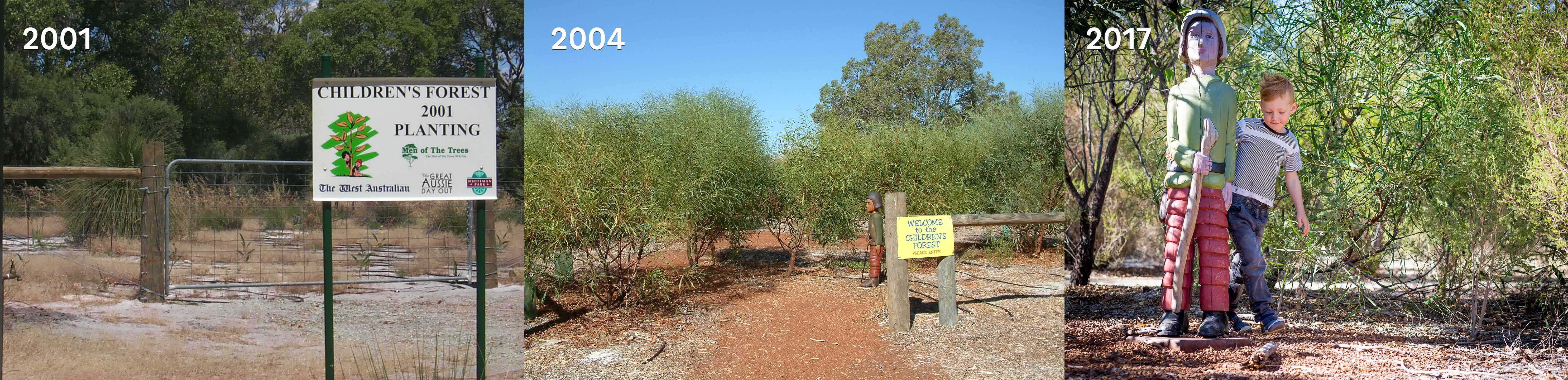 Stage 1 of the Children's Forest