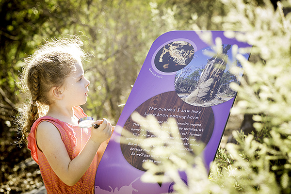 Exploring and learning about the Children's Forest