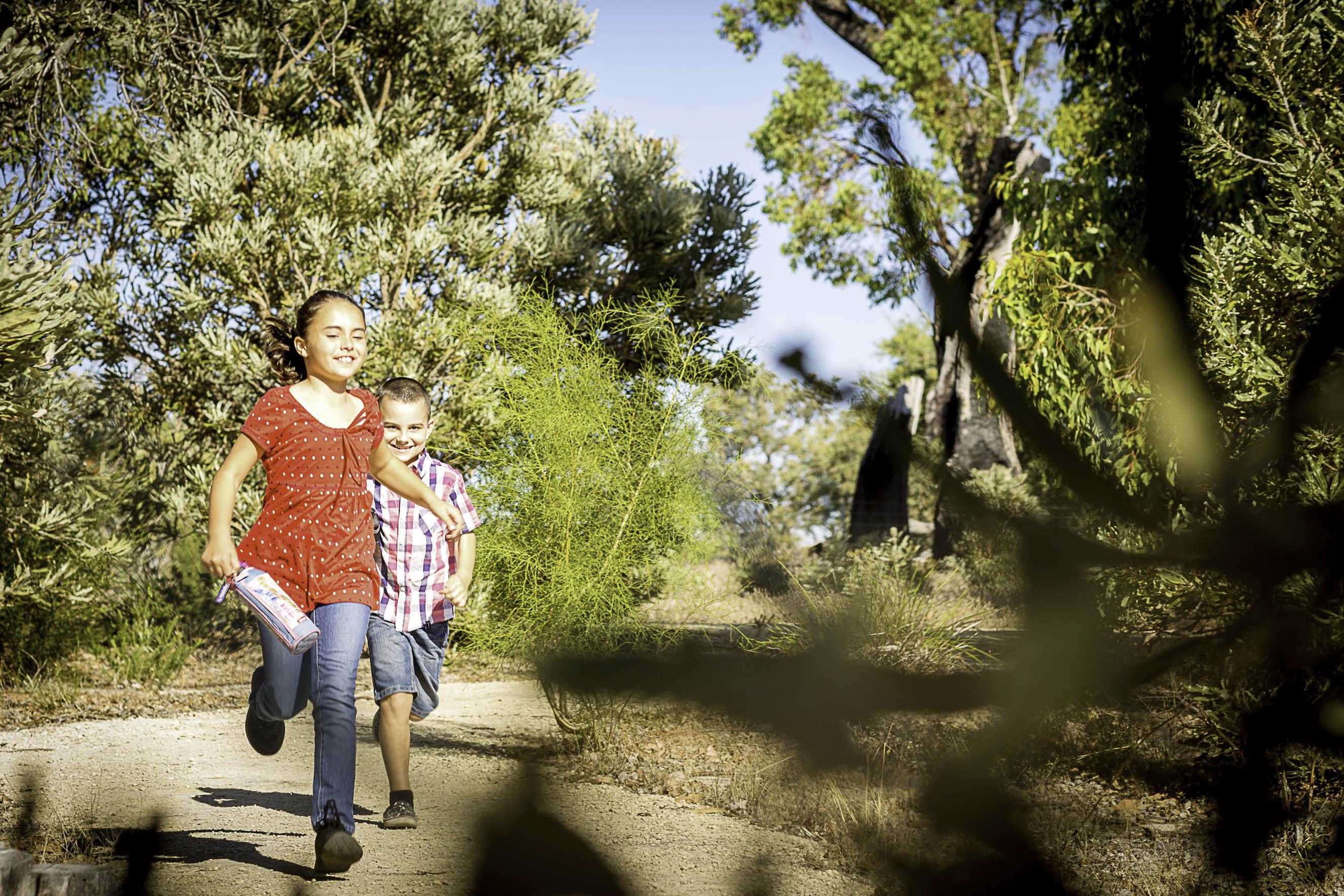 Explore the many pathways of the Children's Forest