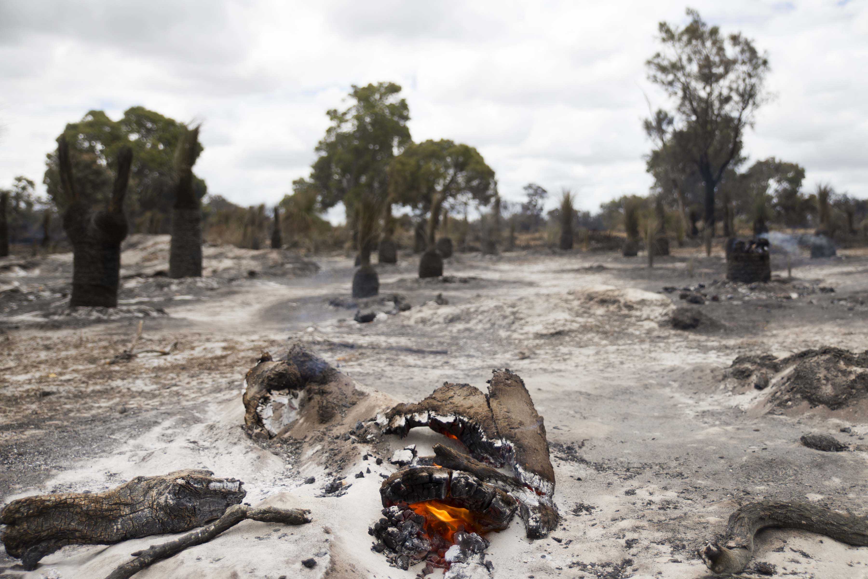 Whiteman Park fire aftermath WEB