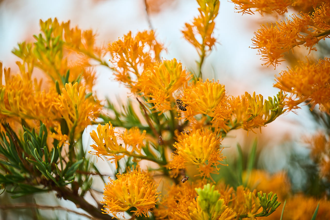 035 WP VOLUNTEERS 231205 DC24891