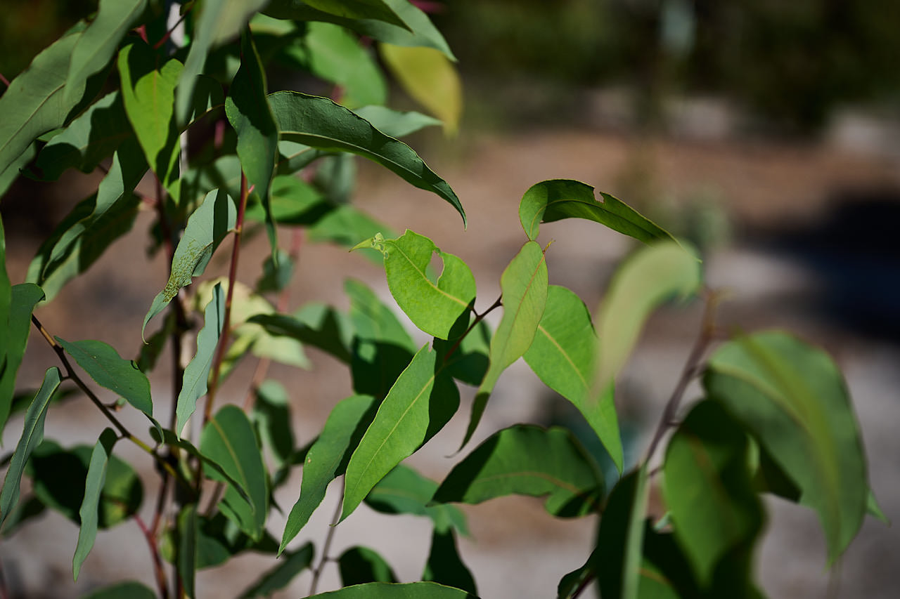 103 WP VOLUNTEERS 220510 DC17421