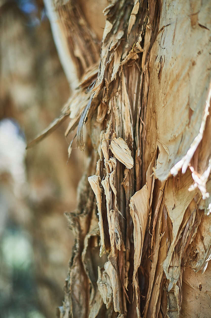 180 WP BREAKFAST 211204 C5 B4921