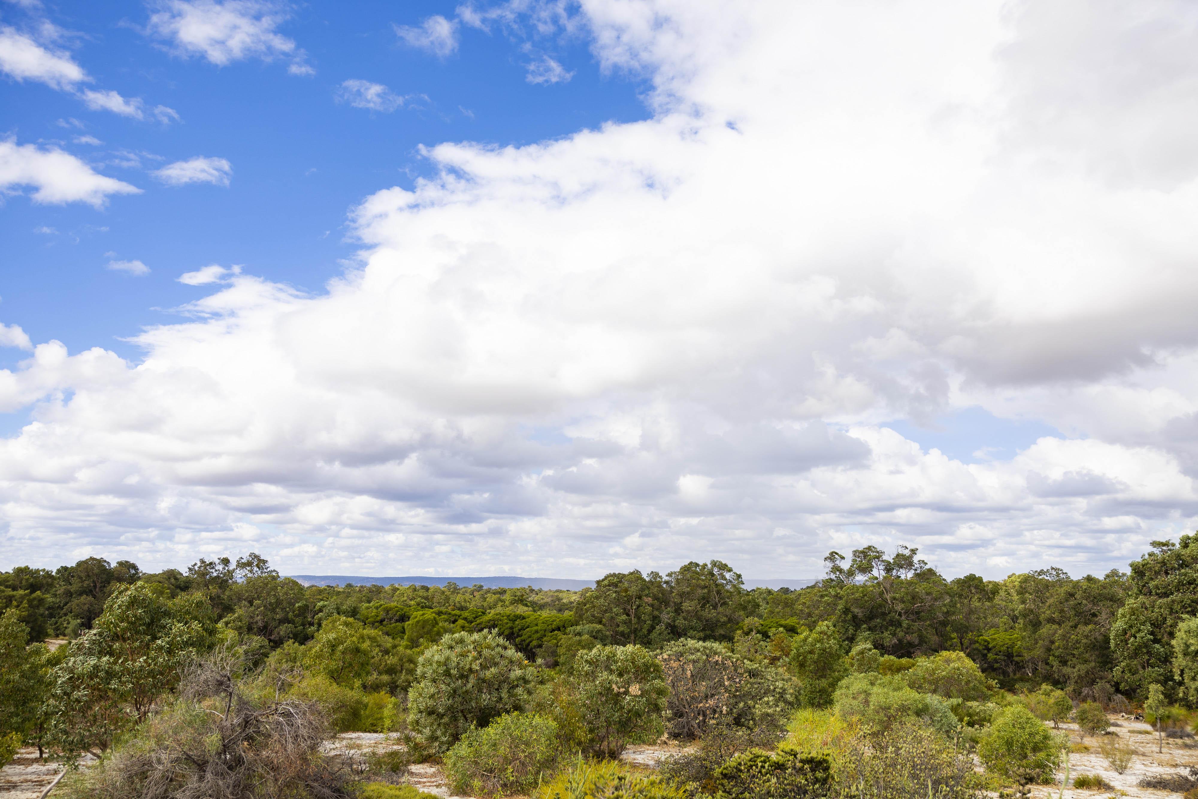 Whiteman Park bushand WEB BANNER