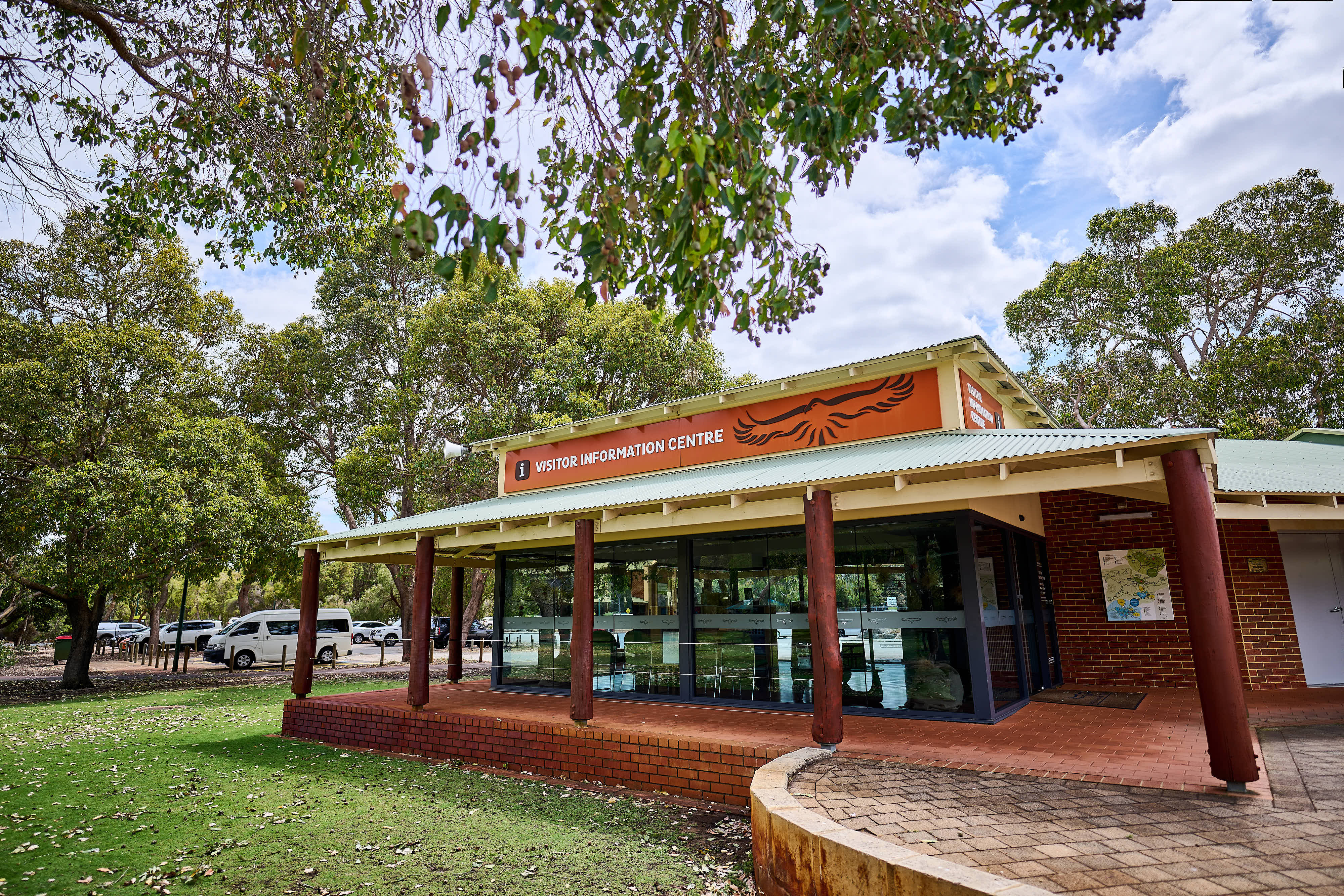 221 WP VOLY PAV MP 251205