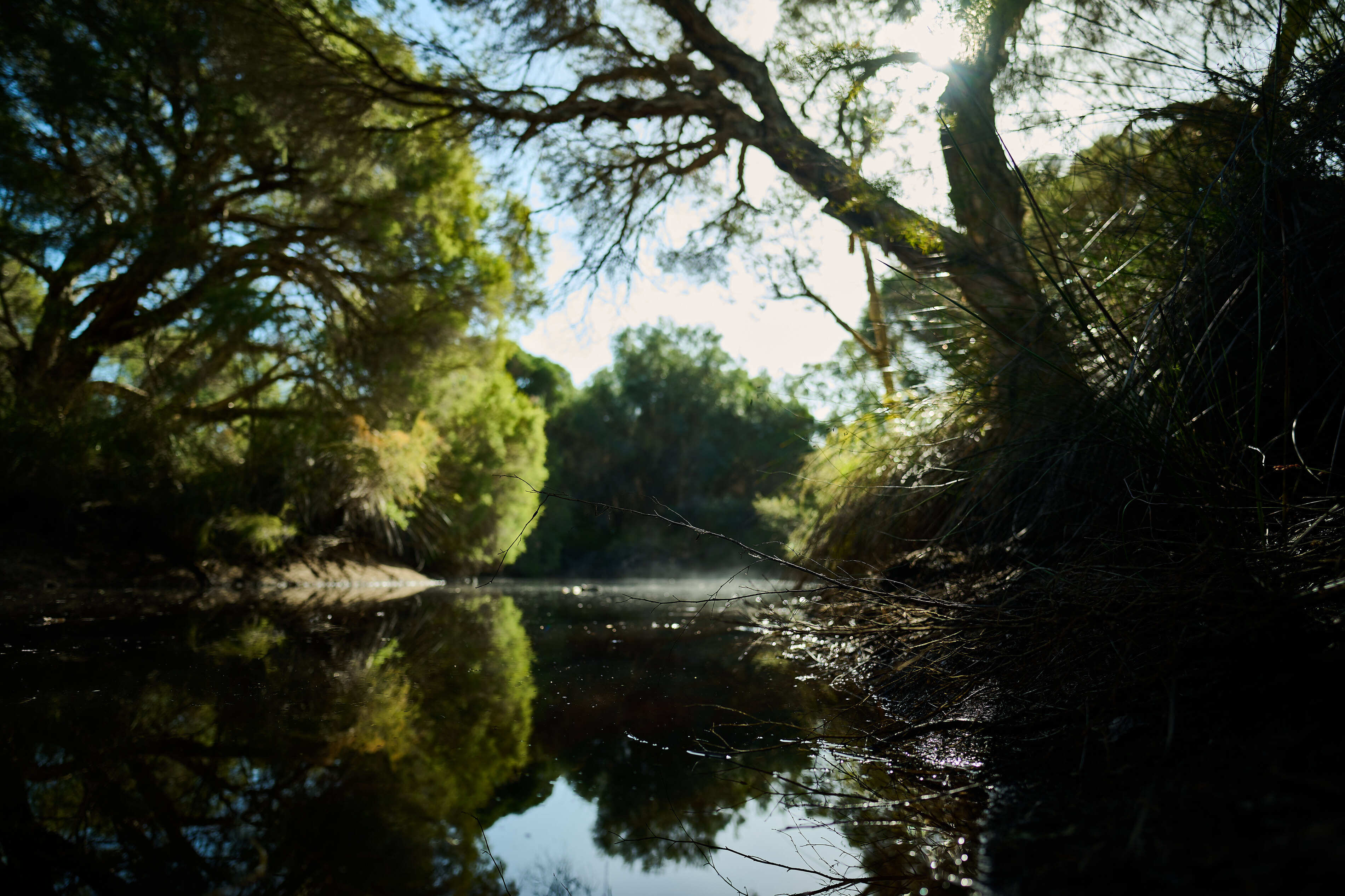 One Duck Lagoon01