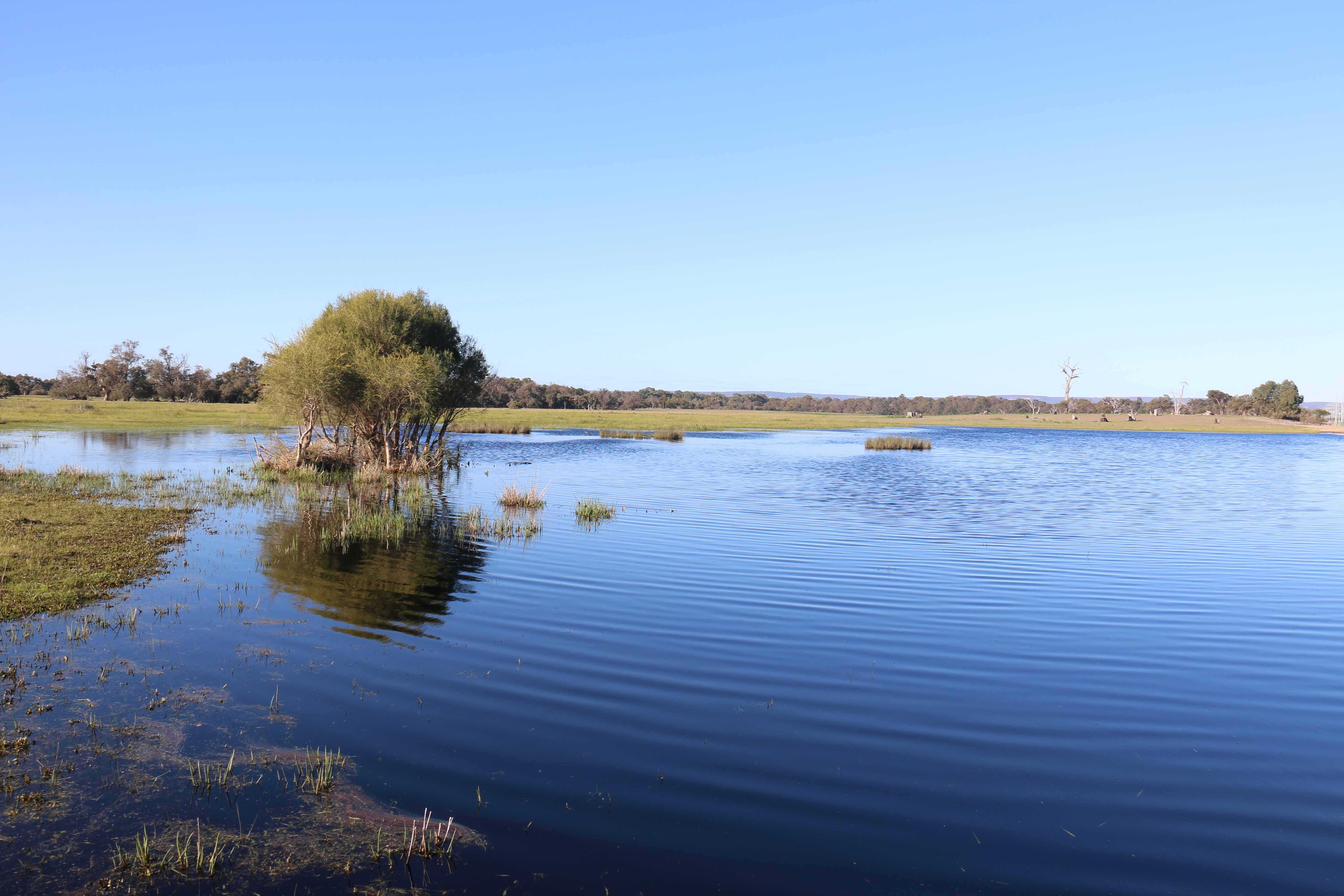 Lake Marshall is a seasonal surface expression of the Gnangara Water Mound