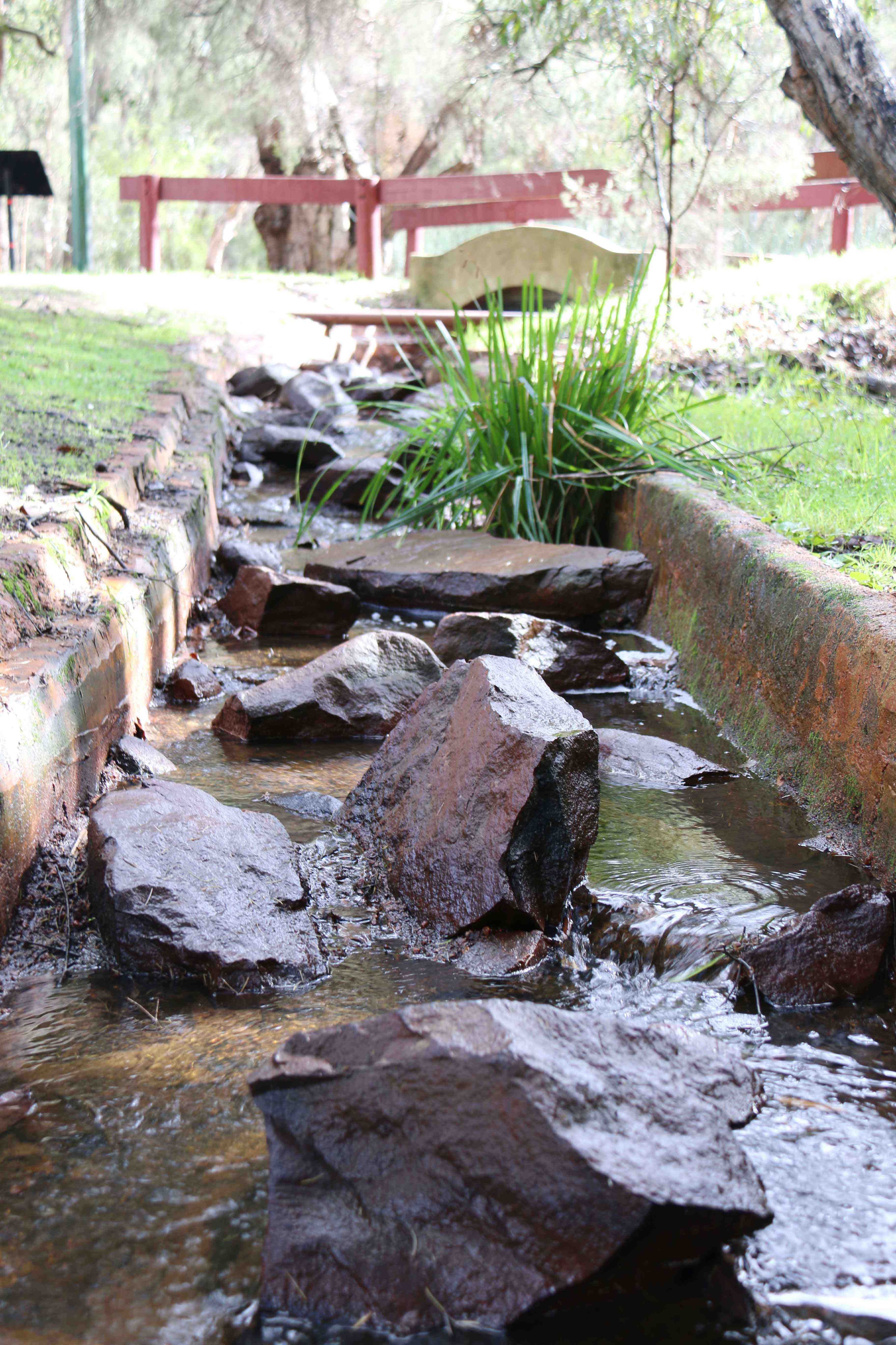 Whiteman Park wetlands the Fish ladder