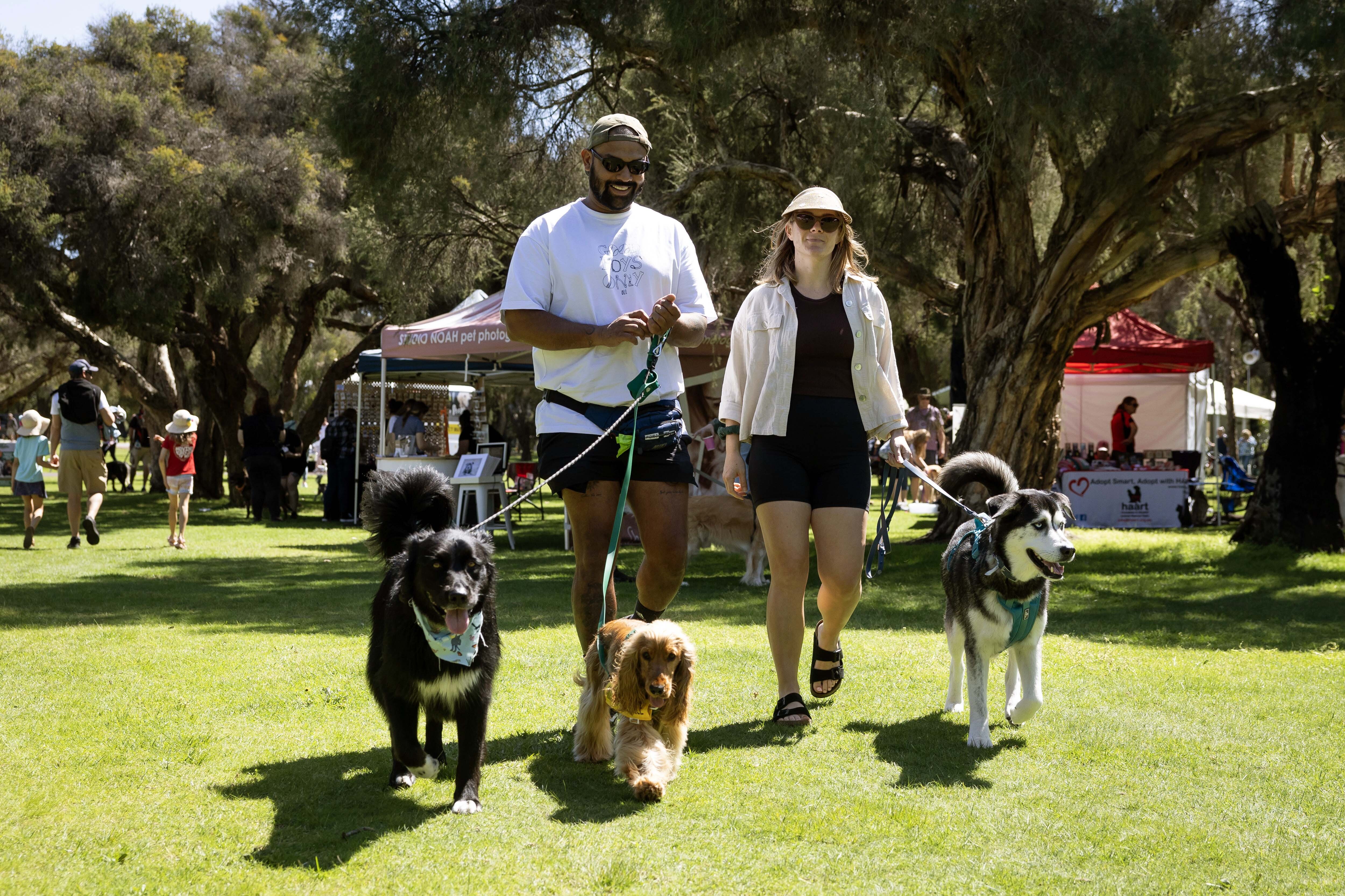 Whiteman Park Doggies Day Out2024 13 web
