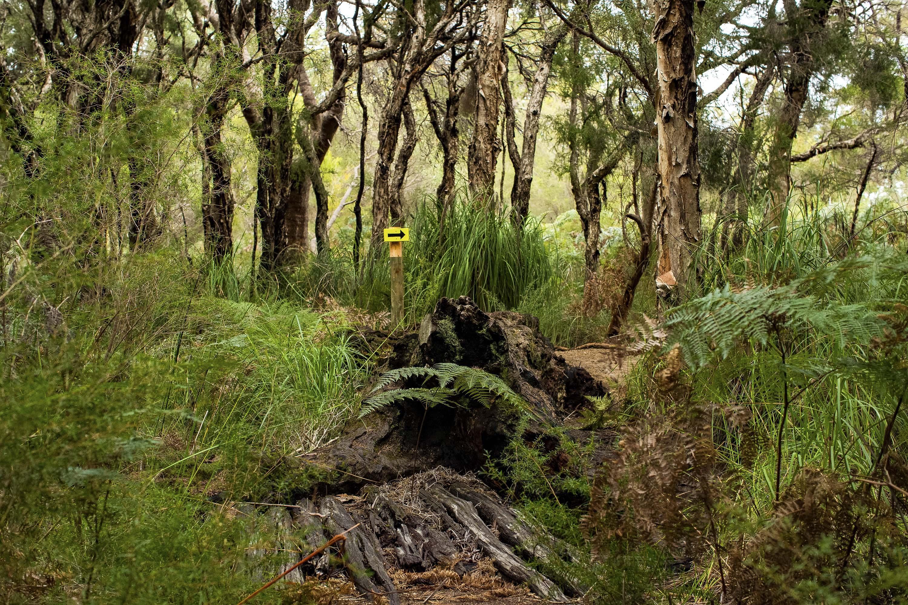 Wununga Trail wetland area Whiteman Park WEB