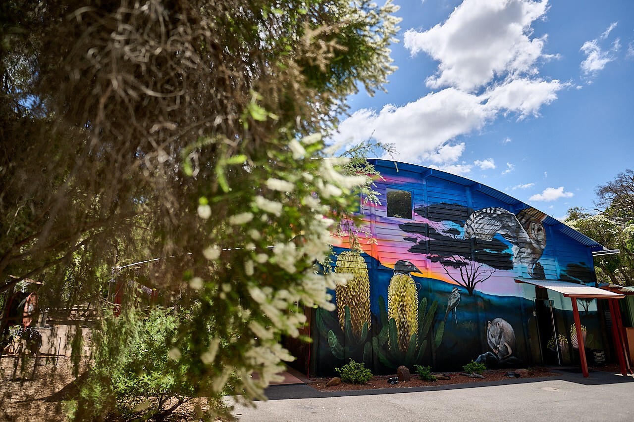 354 WP VOLUNTEERS 241205