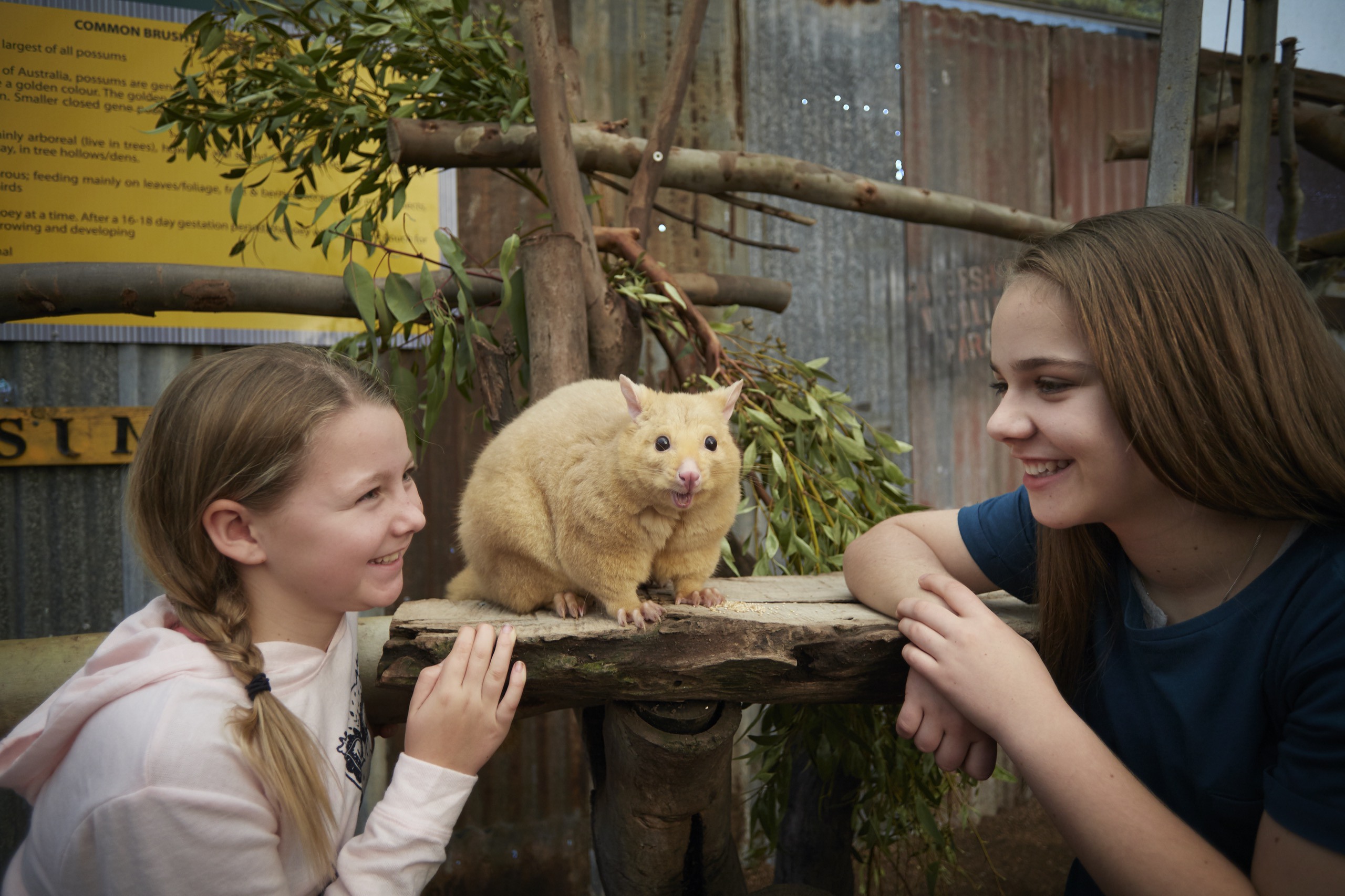 Whiteman Park 18113 0487 1 MAY2019 sm