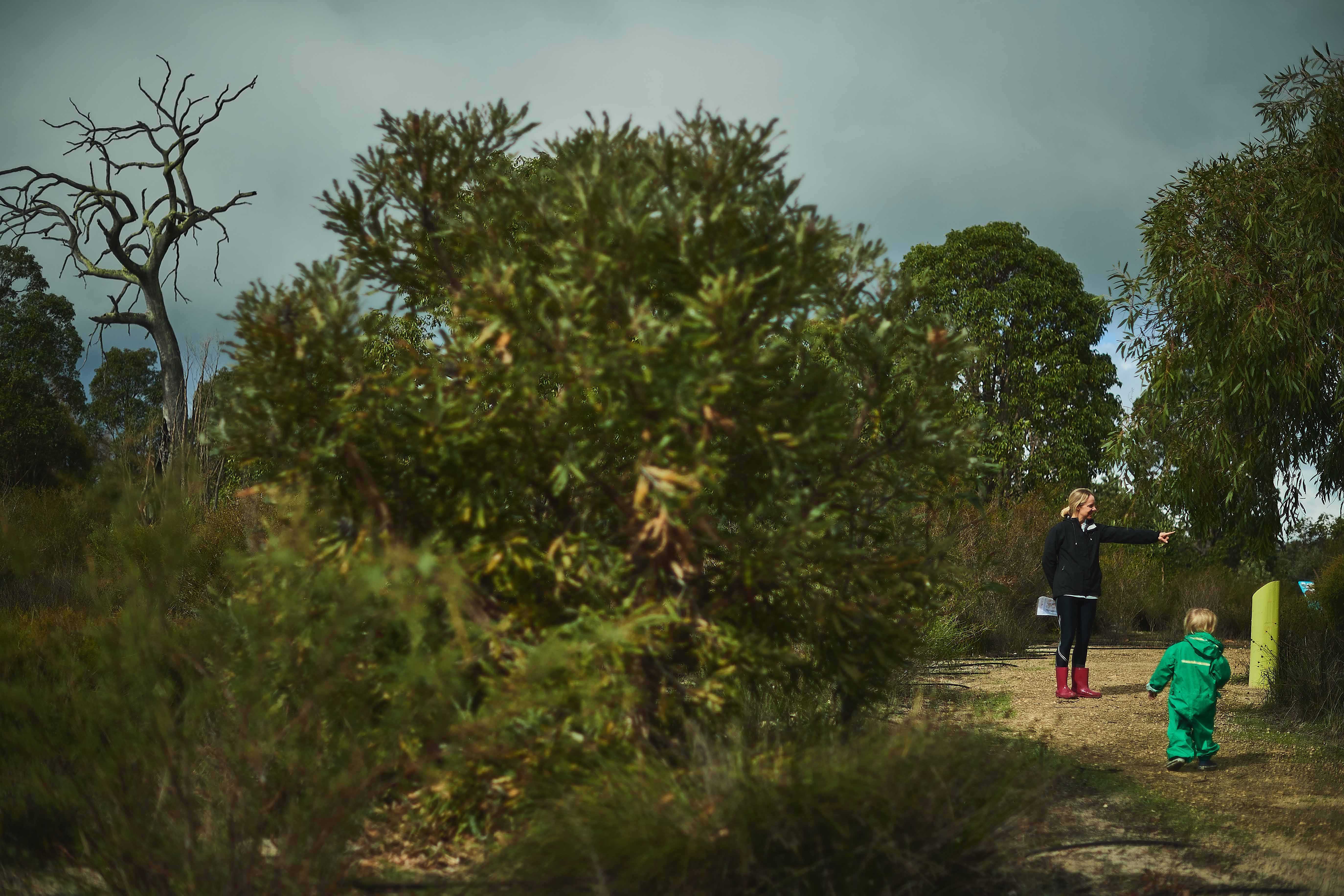 2021 Childrens Forest in winter