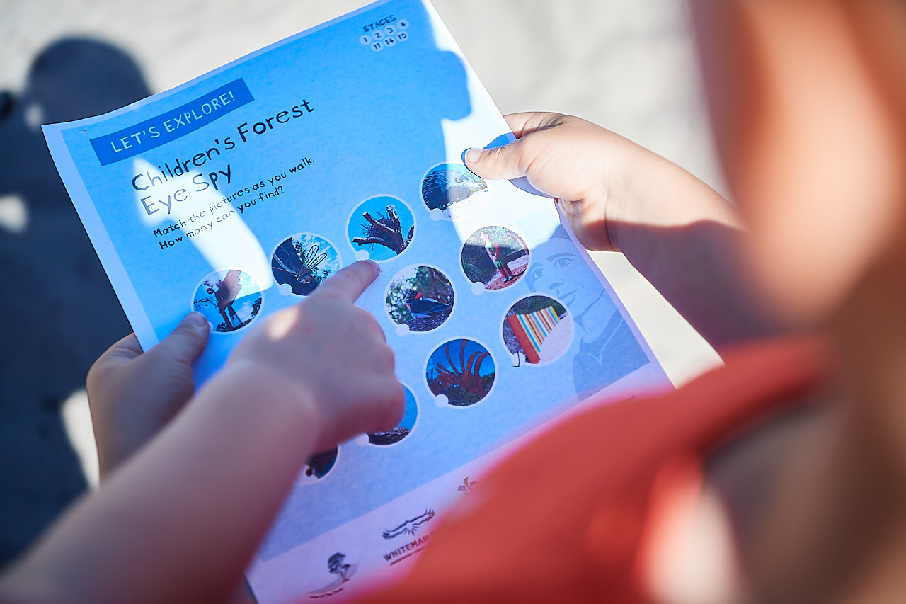 Exploring the Children's Forest - Eye Spy activity sheet