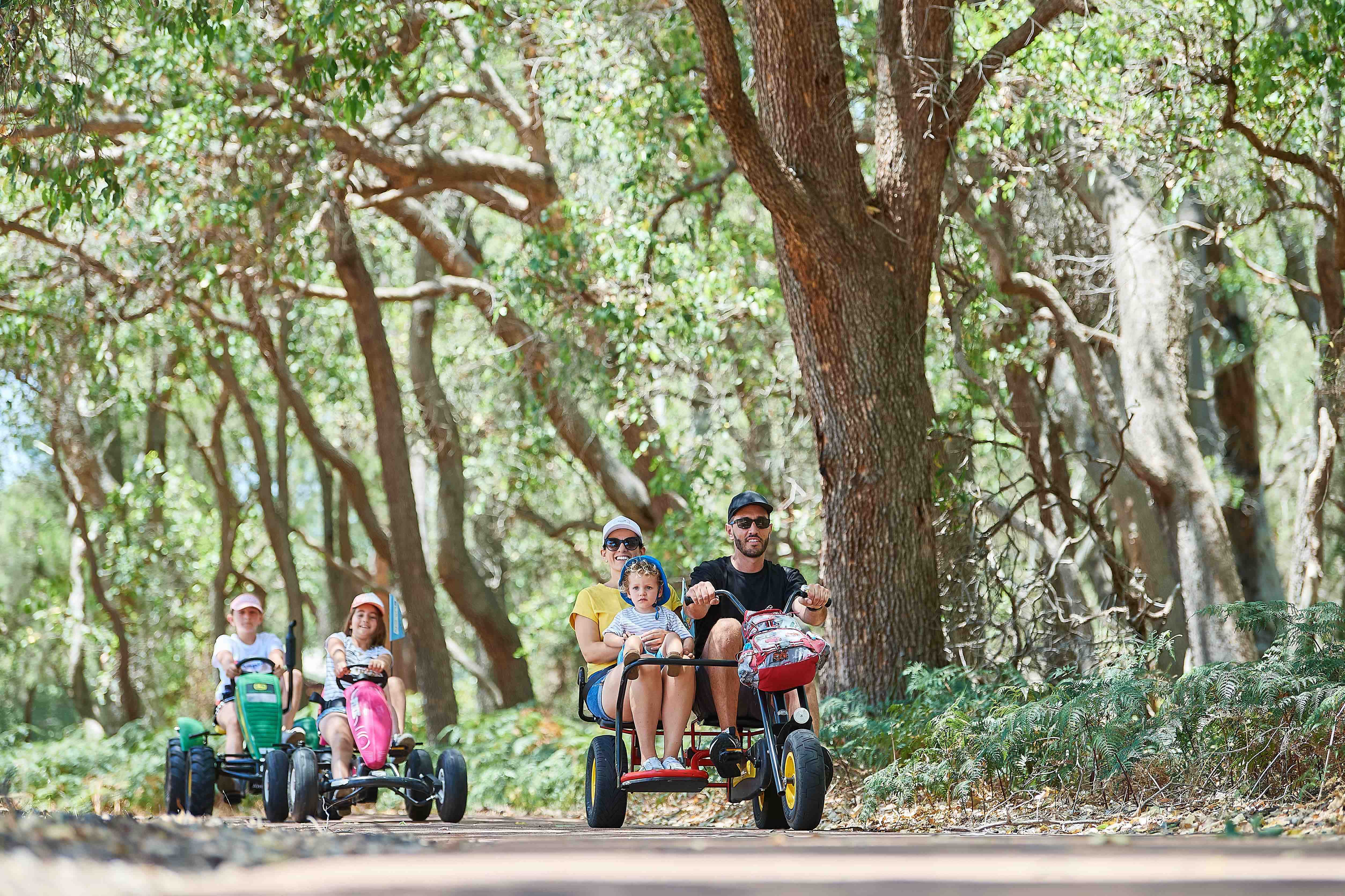 180 WHITEMAN PARK Pedal Play family WEB