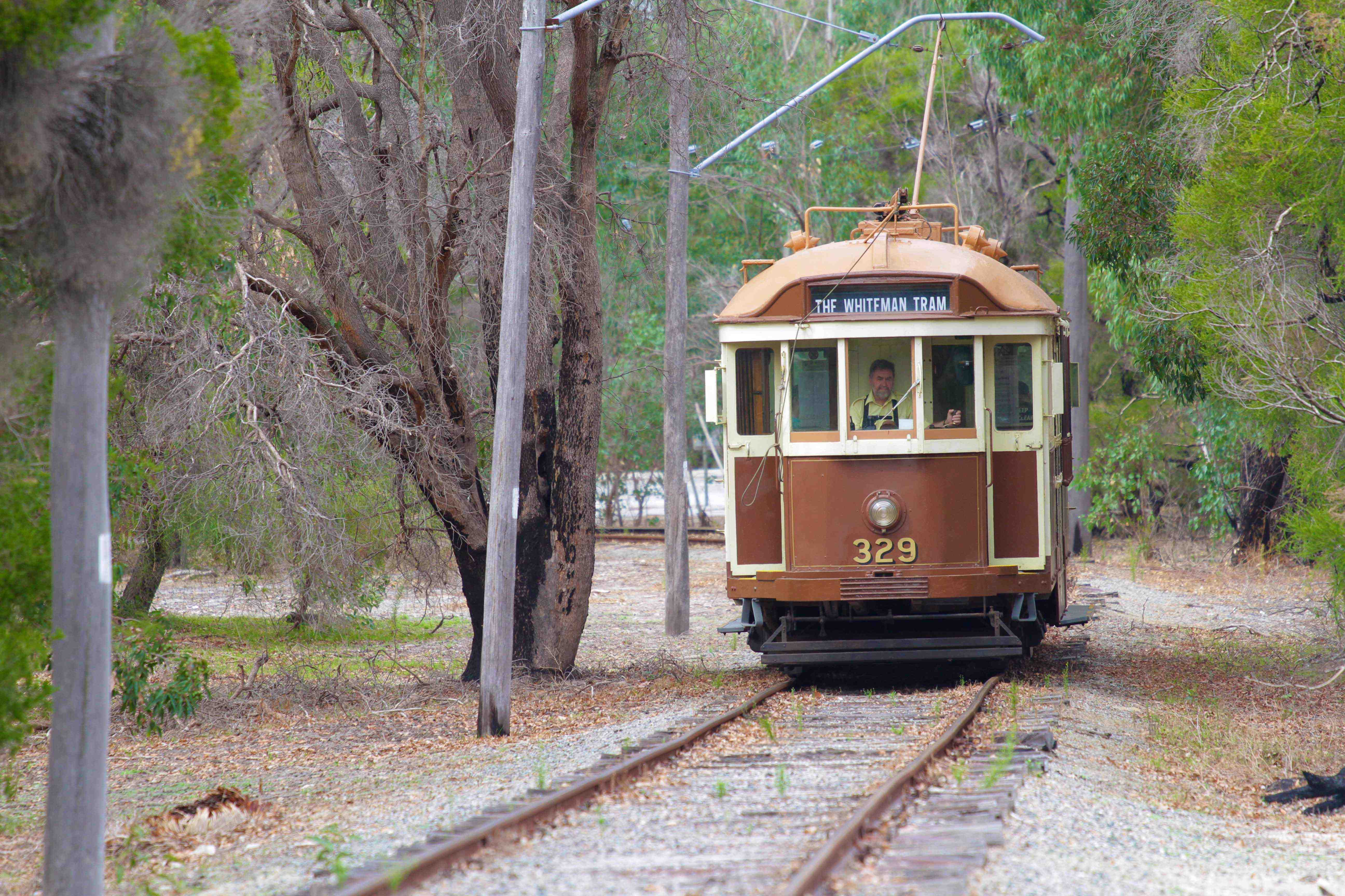 Whiteman Park heritage electric tram through bushland 1 MB