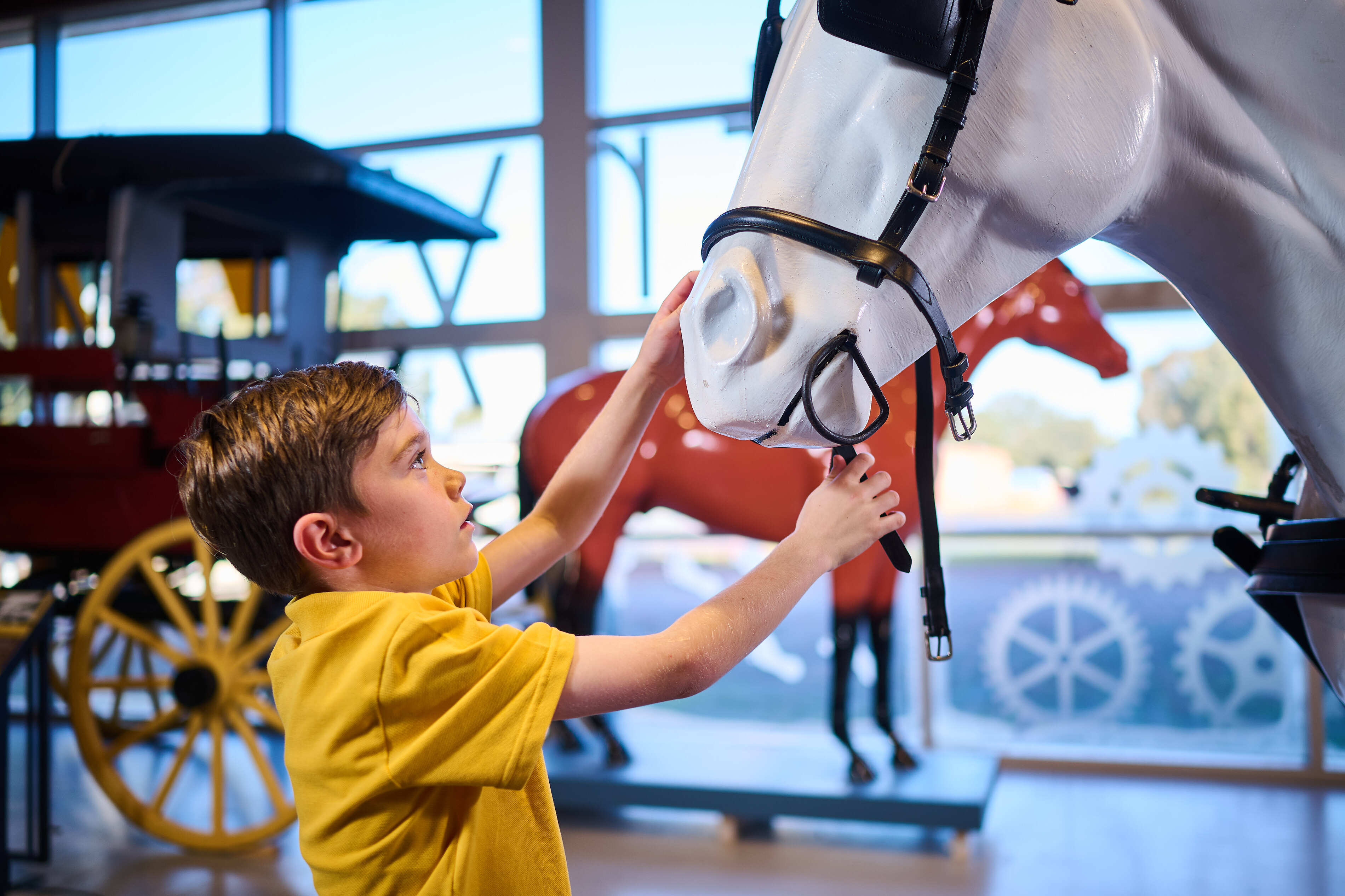 424 WP LAGOON BBAL ED 250709