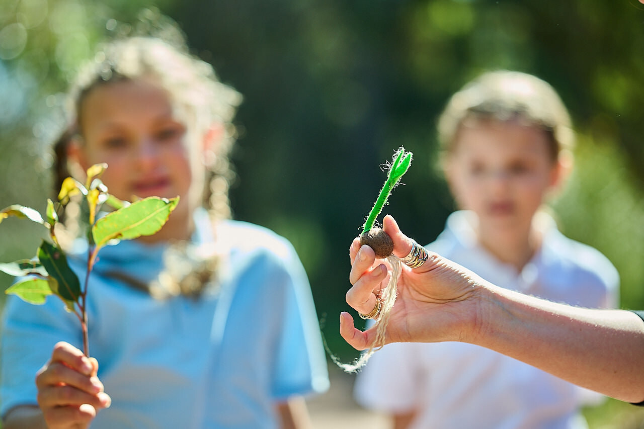 104 WP EDU REV 231004 DC27041